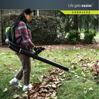 Greenworks 60 Volt accu bladblazer GD60BPBK2 Incl. 2x 2AH Accu &amp; Lader