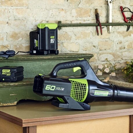 Greenworks 60 Volt accu lader G60UC
