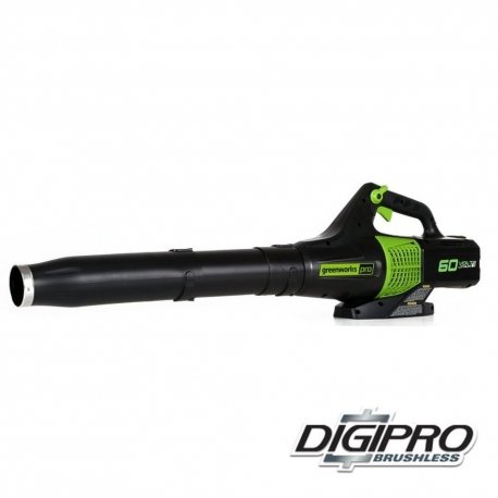 Greenworks 60 Volt accu bladblazer GD60ABK2, Incl. 2AH Accu & Lader