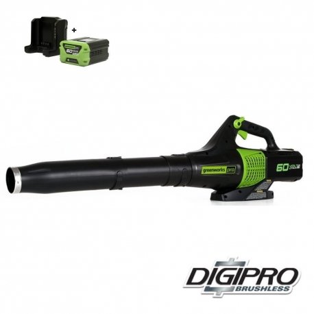 Greenworks 60 Volt accu bladblazer GD60ABK2, Incl. 2AH Accu & Lader